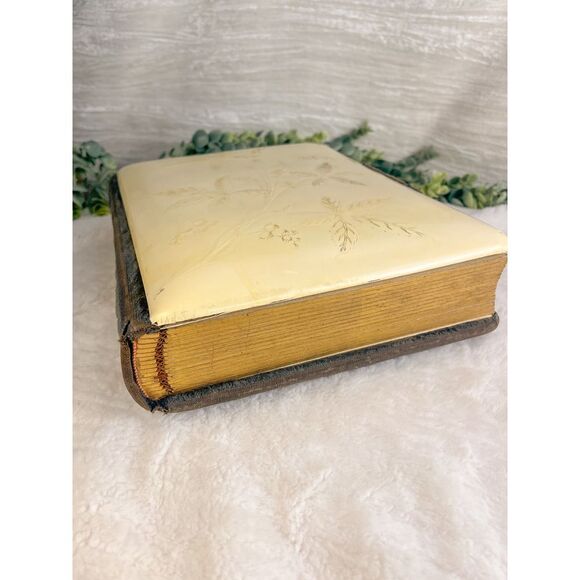 Antique Victorian Celluloid with Velvet Photograph Album - Picture 3 of 9